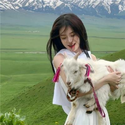 鼠谭秘奇2:提米来救援