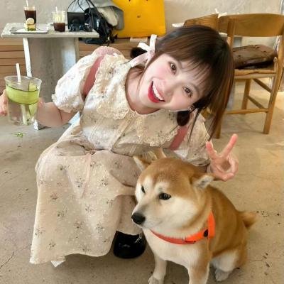 功夫小妹嫁人记